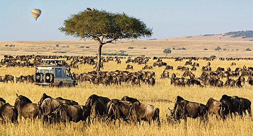 3-day-lake-nakuru-national-park-safari