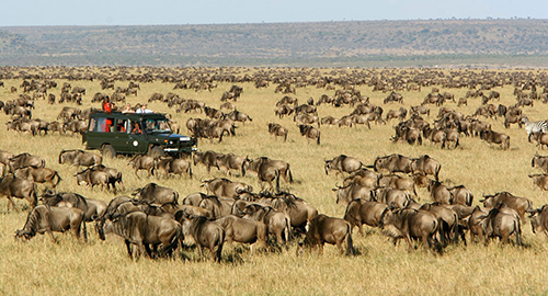 4-days-great-masai-mara-migration-safari