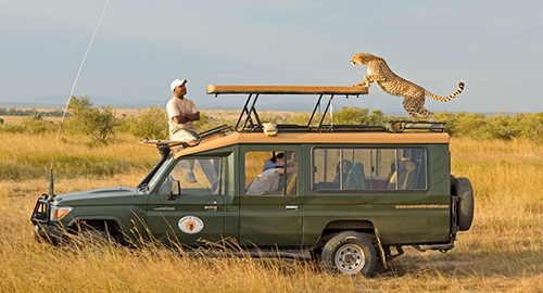 4-days-lake-naivasha-masai-mara-safari
