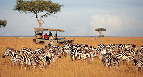 5-days-samburu-lake-nakuru-lake-naivasha-family-safari