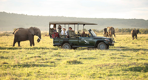 6-days-amboseli-lake-naivasha-masai-mara-luxury-safari