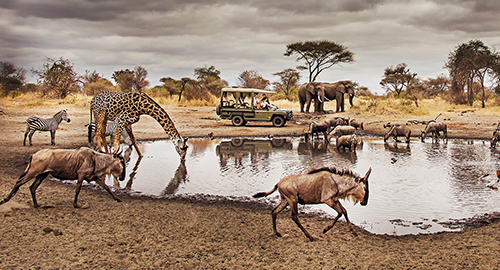 6-days-migration-kenya-tanzania-safari