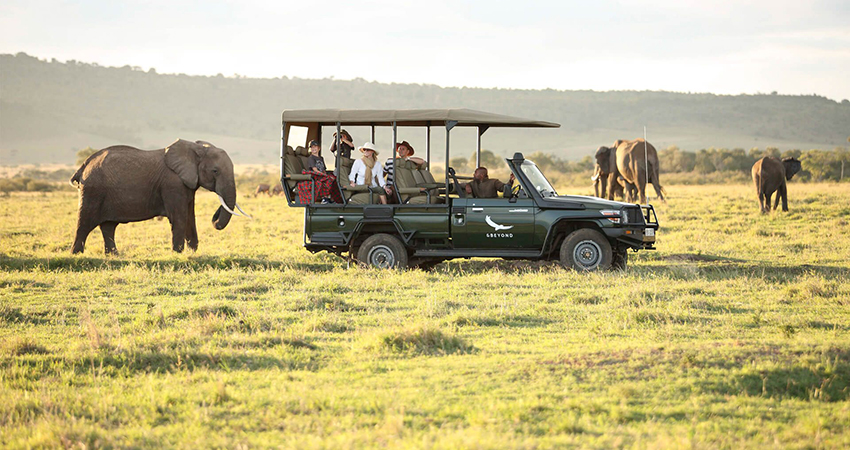 7-days-amboseli-lake-nakuru-masai-mara-budget-safari