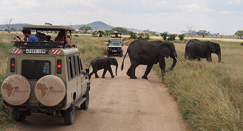 7-days-combined-kenya-tanzania-camping-safari