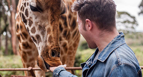 nairobi-full-day-trip-david-sheldrick-elephant-orphanage-nairobi-national-park-the-giraffe-center